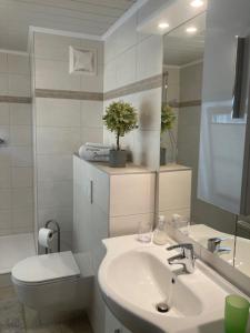Un baño con lavabo, inodoro y espejo. en Landgasthof Jagawirt, en Kraubath an der Mur 27 fotos más