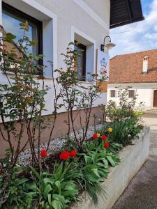 Gallery image of Krka River Lodge in Krka