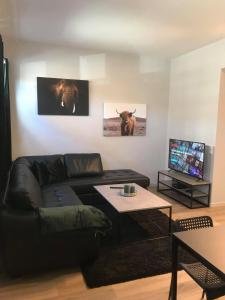 TV a/nebo společenská místnost v ubytování Notodden Sentrum Apartment NO 10