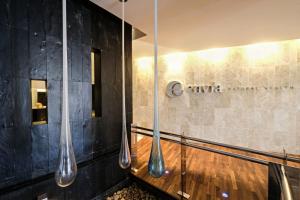 un grupo de arqueros plateados colgando de una pared en Hotel Envia Almería Spa & Golf, en Aguadulce