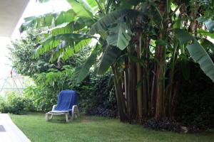 una silla azul sentada en la hierba junto a un plátano en B&B Mariposa, en Collecorvino
