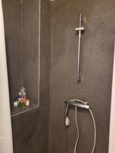 Kúpeľňa v ubytovaní APPARTEMENT CHIC EN HYPER CENTRE DE VANNES