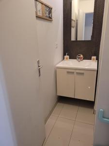 Kúpeľňa v ubytovaní APPARTEMENT CHIC EN HYPER CENTRE DE VANNES