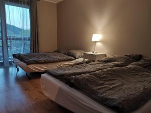 dwa łóżka w pokoju z lampką i oknem w obiekcie Apartamenty Miku w mieście Krynica Zdrój