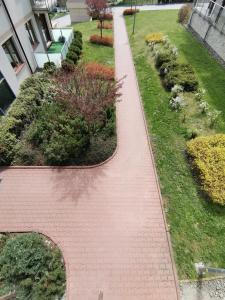 Ogród w obiekcie Apartamenty Miku