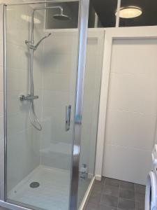 a shower with a glass door in a bathroom at Appartement avec place de parking et box vélos in Montbéliard