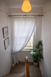 a window with a curtain and a plant in front of it at No 33 Stylish and Modern 1 Bed Apartment in Cheltenham