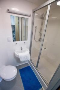 uma casa de banho com um chuveiro, um WC e um lavatório. em Fferm Penglais Apartments em Aberystwyth