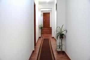 Afbeelding uit fotogalerij van Villas el Alto in Moya +54 foto's