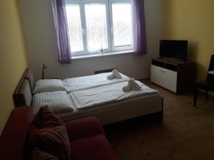 リプノ・ナト・ヴルタヴォウにあるApartmán Richardのベッドルーム1室(ベッド2台、テレビ、窓付)