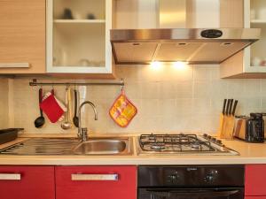 kuchnia ze zlewem i kuchenką górny piekarnik w obiekcie Apartment Punto Lago by Interhome w mieście Verceia
