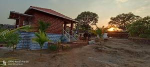 Giardino di MARS Jungle Adventure Stud Farm with Private Jacuzzi