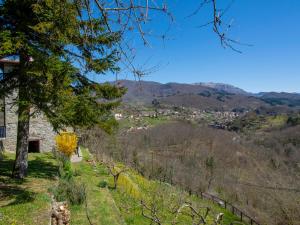 a view of a valley from a hill with a house at Holiday Home Girasole - PZI130 by Interhome in Piazza al Serchio