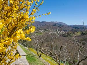 a view from the top of a hill with yellow flowers at Holiday Home Girasole - PZI130 by Interhome in Piazza al Serchio