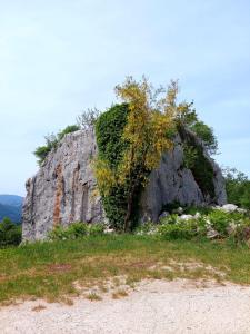 a large rock with a tree on top of it at Le Tre Dimore - Rifugio Aceroni in San Biagio Saracinesco