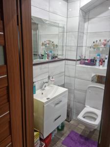 a bathroom with a sink and a toilet at Apartament Baszta Kaszana in Trzebiatów