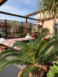 Φωτογραφία από το άλμπουμ του Il bouganville στο Ρέτζιο ντι Καλάμπρια