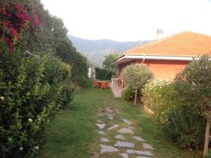 Príroda v okolí of the country house