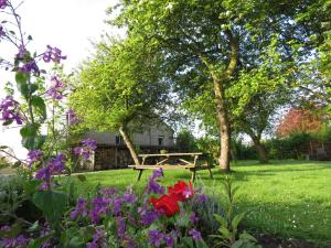 Zahrada ubytování in de Boomgaard
