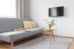 Televízia a/alebo spoločenská miestnosť v ubytovaní Deštné apartmány