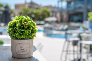 Φωτογραφία από το άλμπουμ του Dionysos Hotel & Suites στη Χανιώτη