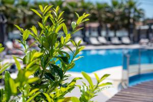 Πισίνα στο ή κοντά στο Dionysos Hotel & Suites