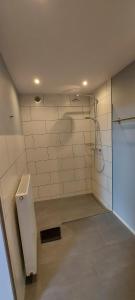 ein Bad mit einer Dusche, einem WC und einem Waschbecken in der Unterkunft Landhaus Eifelsicht in Hellenthal