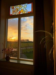 une fenêtre avec vue sur un champ de raisins dans l'établissement Huisje op Bioboerderij, kust, polder en rust, à Hoofdplaat