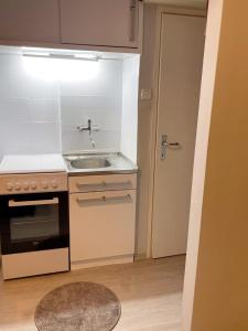 uma pequena cozinha com um lavatório e um fogão em Cosy Apartment on an amazing location! em Skopje