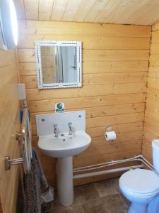 Country Bumpkin - Romantic Couples stay in Oakhill Cabin في Oakhill: حمام مع حوض ومرحاض
