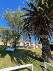 eine Palme und eine blaue Bank vor einem Gebäude in der Unterkunft Living The Breede - Birdsong Cottage in Malgas