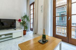TV a/nebo společenská místnost v ubytování MalagaSuite City Center Malaga