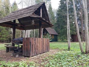 Zahrada ubytování Saia Forest House