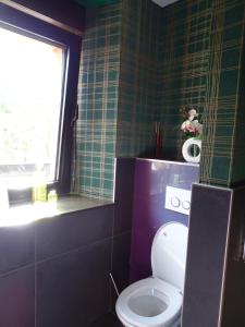 een badkamer met een wit toilet en een raam bij BOIS DE CHENES HOUSE in Phalsbourg
