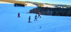 a group of people skiing down a snow covered slope at Ferienwohnung Süßes Häusle in Breitnau