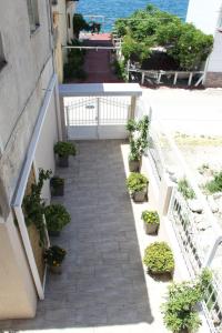 a stairway with potted plants on the side of a building at Asteri Apartments Mytikas 2-Bedroom Seaview Courtyard in Mitika