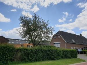 une maison avec un arbre devant une haie dans l'établissement Het Gelders Buitenleven, à Overasselt