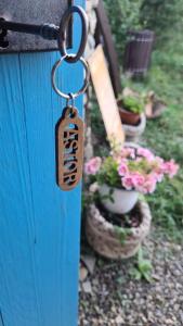 a key chain on a blue door with potted plants at Valea celor Doisprezece in Pîrîu Dobreni