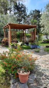 un giardino con pergolato in legno e alcuni fiori di acasamia a Oristano