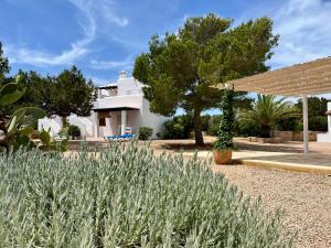 カラ・サオナにあるCan Chumbera Formenteraの庭園からの家の景色