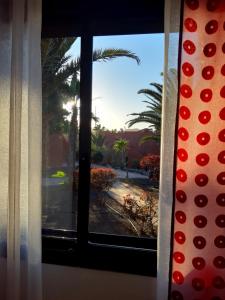 Fotografia z galérie ubytovania Casa Vacanza in Oasis Tamarindo v destinácii Corralejo