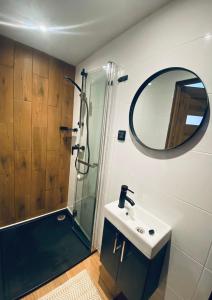uma casa de banho com um chuveiro, um lavatório e um espelho. em Butikowe Pokoje Zdrój Głuchołazy em Głuchołazy