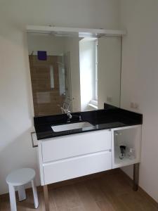 a bathroom with a sink and a mirror at l'Airial de Larroque in Soustons +9 photos
