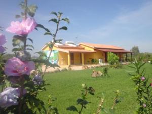 a house in the middle of a field with flowers at Agriturismo Gavina Pes in Campanedda