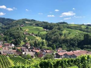 a small village on a hill with green vineyards at Hotel Restaurant Der Engel, Sasbachwalden in Sasbachwalden