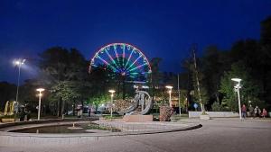 ein Riesenrad in einem Park nachts in der Unterkunft Dianos apartamentai in Palanga
