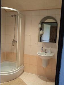 a bathroom with a shower and a sink and a mirror at Gospodarstwo Agroturystyczne U Zdzicha in Bałtów