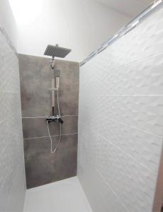 a bathroom with a shower with a shower head at Appartement Oingt - Les Meublés des Pierres Dorées in Theizé