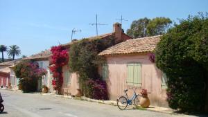 イエールにあるGrand studio à Hyères entre mer et villeの花屋の前に停められた自転車