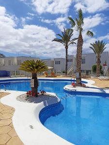 a swimming pool with palm trees in a resort at AZAHARA PLAYA LAS VISTAS - STUDIO - Playa de Las Americas in Playa de las Americas